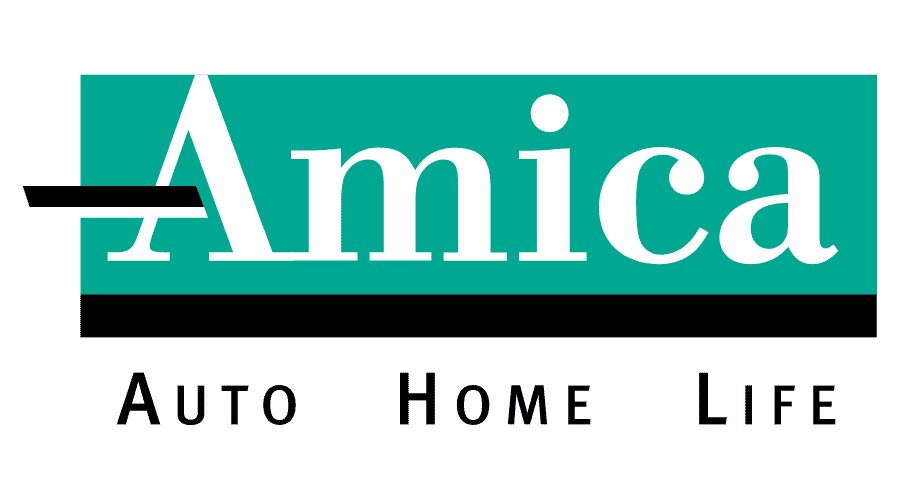 amica company logo