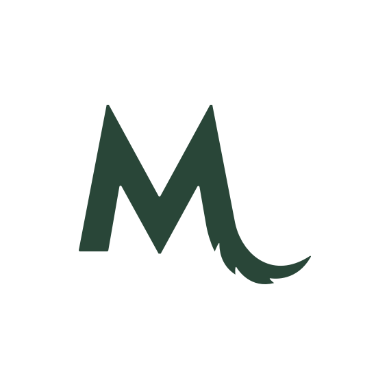 Best Pet Insurance For Cavalier King Charles Spaniels In 2024