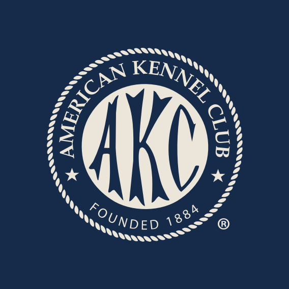 Pet Insurance That Covers PreExisting Conditions New York